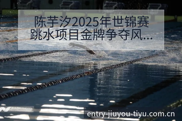 陈芋汐2025年世锦赛跳水项目金牌争夺风险观察与技术分析 - 九游体育网址