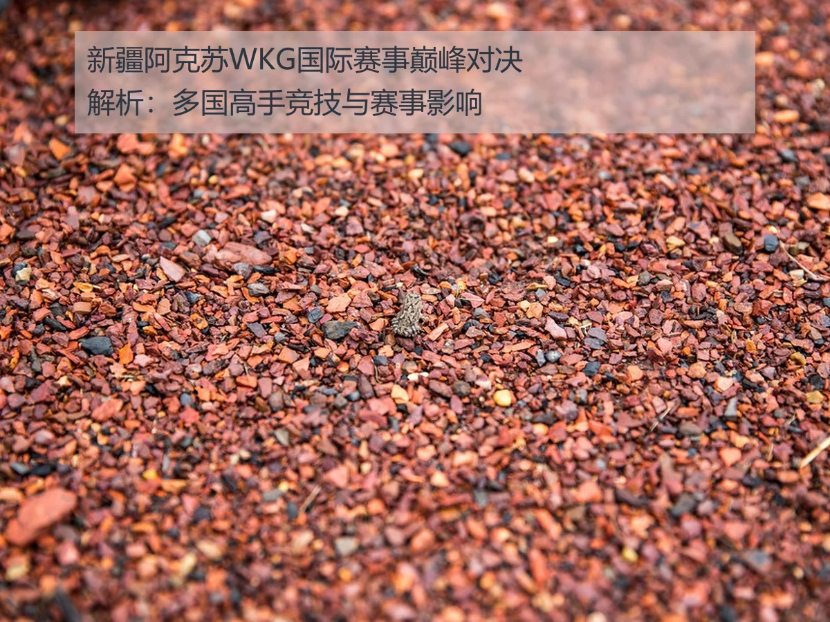 新疆阿克苏WKG国际赛事巅峰对决解析：多国高手竞技与赛事影响
